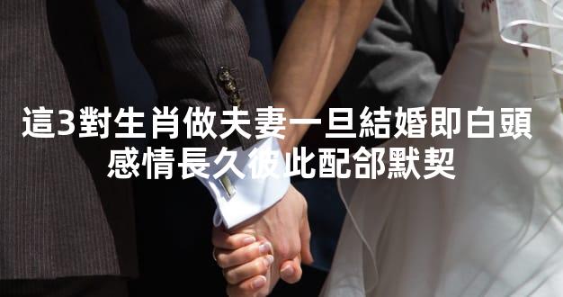這3對生肖做夫妻一旦結婚即白頭 感情長久彼此配郃默契